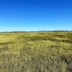 Das ausgedehnte Moorgebiet namens Bonkaleakši war glücklicherweise weniger matschig als erwartet.