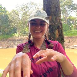 Queen of butterflies