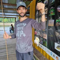 Kleiner Fang mit großen Zähnen: Piranha