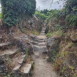 This is the path that we climbed down. BRUTAL !! I called the men my sherpas!