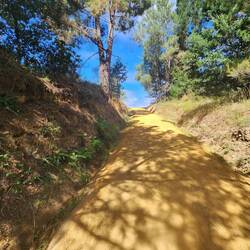 Up up up on yellow brick road!!! It looked like the top there was going to be a sharp drop!