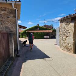 The welcome committee at the albergue!