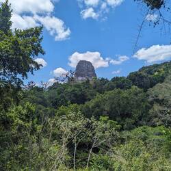 A glimpse of a temple towering over the jungle