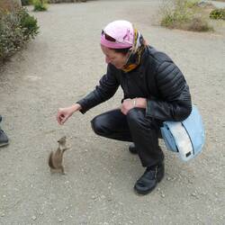 This chipmunk was attracted to Maarama and wouldn't let her leave