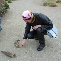 Knew Maa was a soft touch so got it's mate in on the lunch on offer