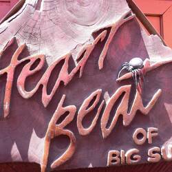 "Spidey" found himself a good perch spot in the sun