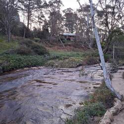 Darwin walk into Wentworth Falls Village