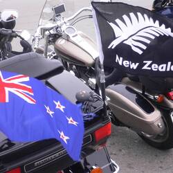 "Spidey" checking out our National flag and the Silver Fern flag