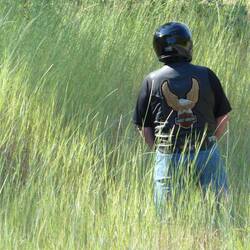Mimi stop....watch out for the snakes in that long grass....LOL