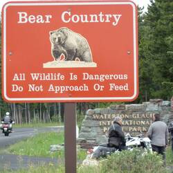 We got to see bears up close and personal
