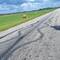 Wer macht solche Spuren auf den Asphalt?