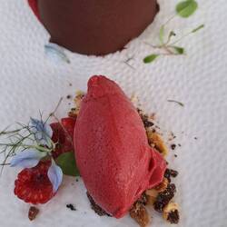 Und so das Dessert. Schokoladenparfaitkern in Schokoeis mit Himbeereis nett angerichtet