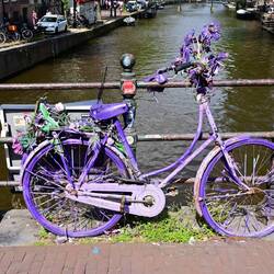 Salvaged and tastefully refurbished bicycle