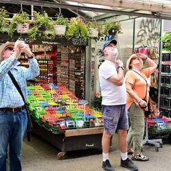 Something interesting at the Flower Market - don't know what