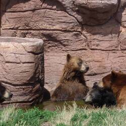 Considered taking a dip but looks a bit crowded