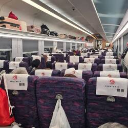 High speed trains for days