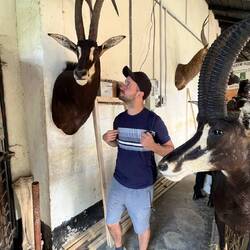 Dickköpfe unter sich <3