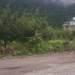 Road outside our hotel.