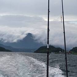 Bild von gestern und dann kam der Sturm
