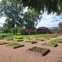 Kräutergarten Gamla Torg