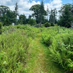 Trail on other side of the island