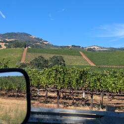 Winecountry, Sonoma valley