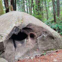Cool rock on cable bay trail