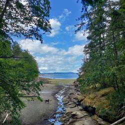 Pacific estuary