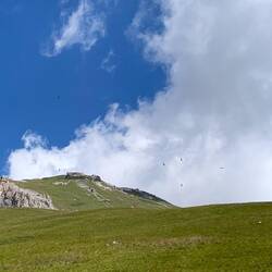 Da kreisen die Geier.😬