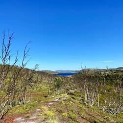 Keine Ahnug, wieso das Blau des Wassers heute so unglaublich intensiv war.