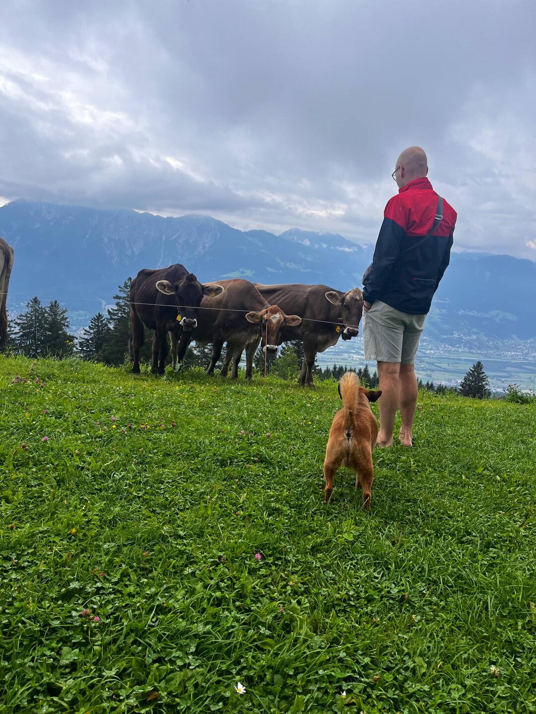 Riesengroße Hunde 😳