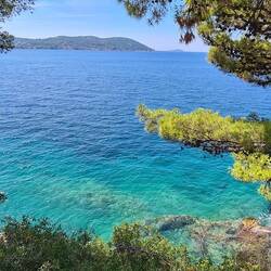 Der Weg scheint sich zu lohnen.