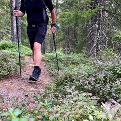 der Weg erfordert Aufmerksamkeit