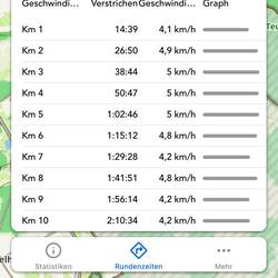 Und die Rundenzeiten belegen, dass wir trotz Dauerplappern ganz flott unterwegs waren.