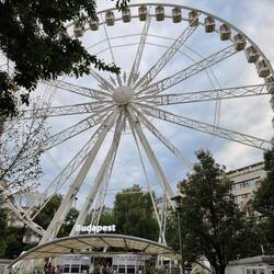 Reuzenrad/Ferris Wheel