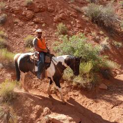 That poor horse....LOL