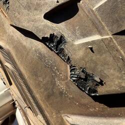 Selbst Reifen scheinen Ratten sich schmecken zu lassen🤬