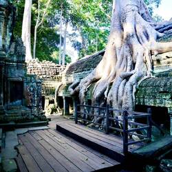 Ta Prohm