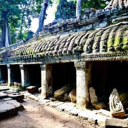 Ta Prohm