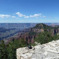 "Spidey" venturing towards the Canyon edge