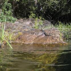 Mertans Water Monitor