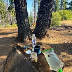 Frühstück mit Reh 😁