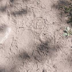 Es wird touristisch🧐