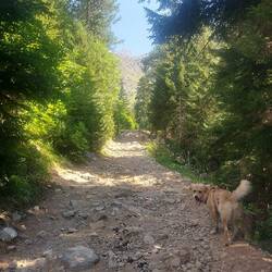 Eine Wanderautobahn. Wegführung glasklar😃