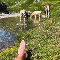 guet hend mer scho badet😜