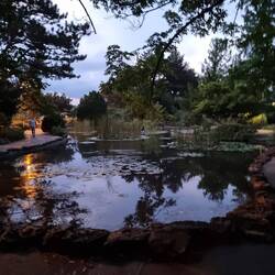 Japanse Tuin/ Japanese Garden