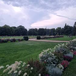 Rozentuin/Rose Garden