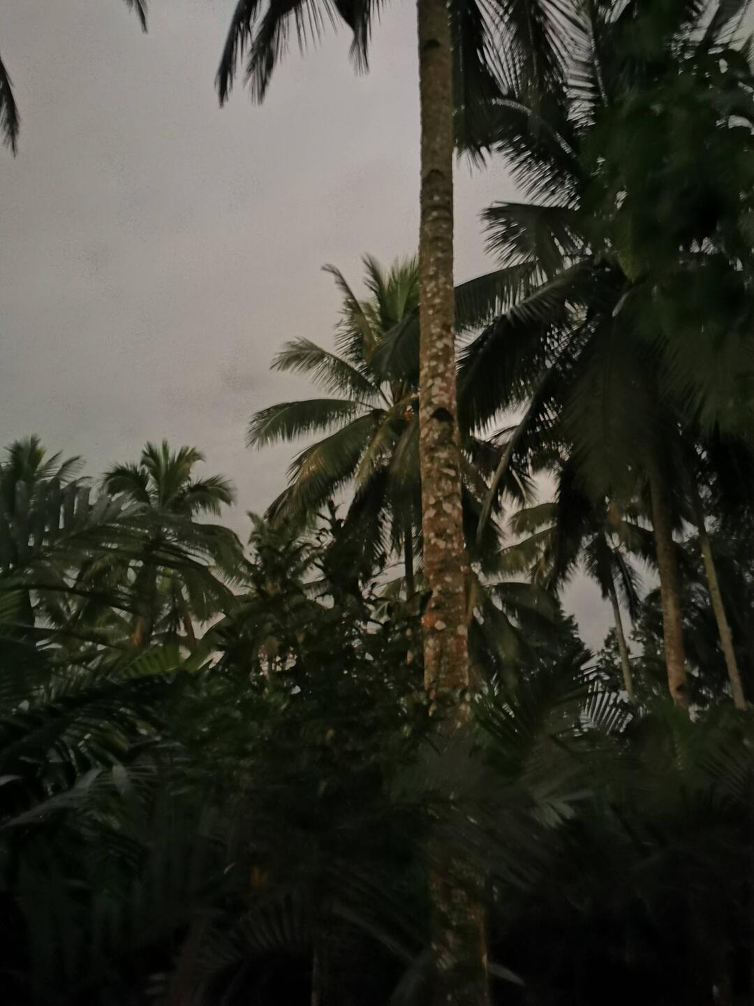 Der frühe Vogel fängt den Wurm 🦜 deshalb ging es für uns heute mitten in der Nacht los ..