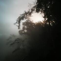 Noch war alles im Nebel versteckt 🍃