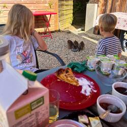 Zmorge mit de Äntli